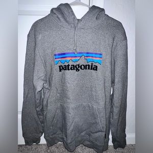 Patagonia sweatshirt